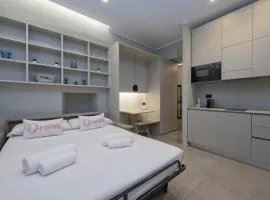 Luxury apartment - Cesare da Sesto 23
