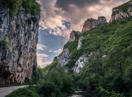 Golemi kamik Pirot Vlasi