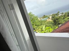 The Glasford Nook #2, hotel v Basseterre
