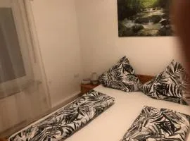 Siegen Zentral Ferienwohnung 1 bis zum12 Schlafplätze