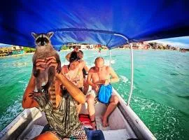 Atalaya Buceo Cari Blue