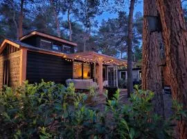 Thuisje van Hout, tiny house in Drentse natuur