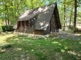 Chalet pleine nature 8mn de Vendôme