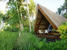 Coconut Corner - Rice Field Dome