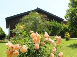 Çıralı Villa's