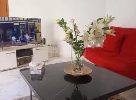 Appartement menzah9