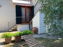 La casa di Mishka
