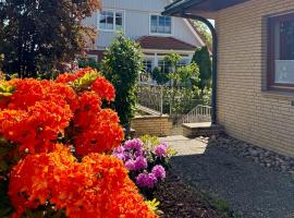 TooHuus, hotel pet friendly a Hitzacker