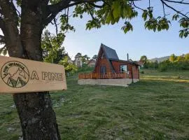 AA Pine vikendica za izdavanje u srcu Zapadne Srbije