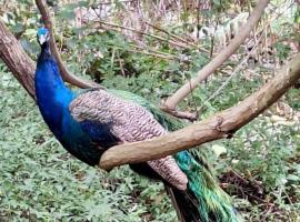 Temenos Retreat, hotel a McGregor