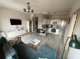 Apartament Złota 15