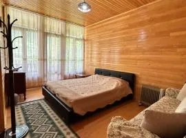 Cottage in Mestia