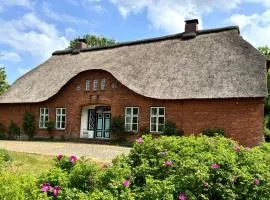 Wunderschönes großes Reetdachhaus zwischen Selenter See und Ostsee