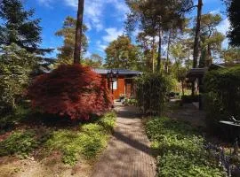 StayatSas Tiny House Pippa in de bossen op de Veluwe