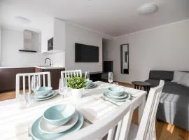 Centrum Apartment Nikolai