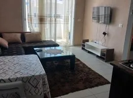 Appartement la zone touristique