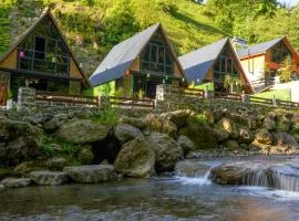 River Bungalov