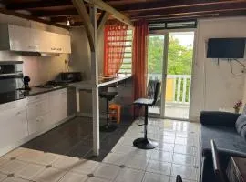 Charmant studio avec piscine à Le Gosier, 30 m²