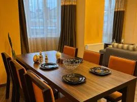 VIP apartments 15