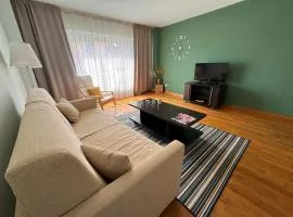 Anna Apartment Timișoara