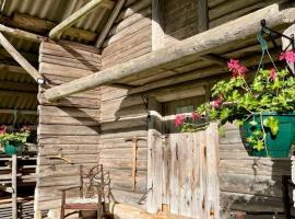 Old Silent, hotel sa Hara