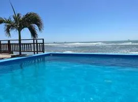Aloha Lobitos