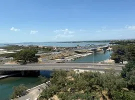 appartement Carnon vus mère