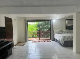 Quaint studio in the hills