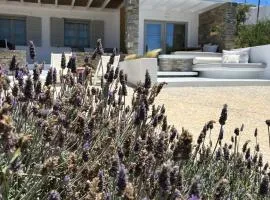 Neso seafront studio Paros