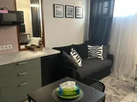 Stylish apartmens near Minsk Mazowiecki