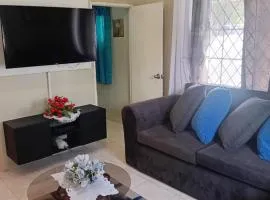 DOUG MANOR flat1