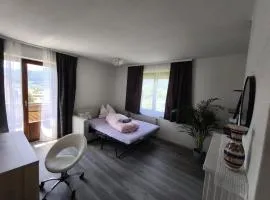 Spacious Room in Modern Flat