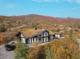 Modern mountain cabin skiing, views and hiking