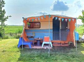 Retro caravan de Duif vlakbij het Sneekermeer, hotel v destinaci Terzool