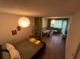Apartment Rosa