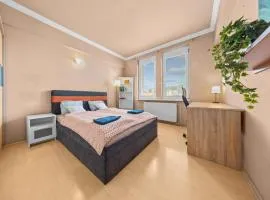 Big 4-room SPACIOUS apartment