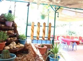 استراحة ومنتجع قرية الزرب