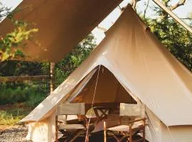 The Leadwood Safari Camp