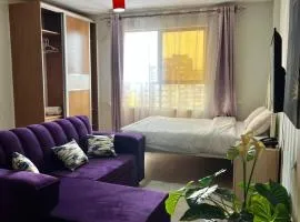 Budget Studiobedsitter Ngara Studio 5 Mins Walking DistanceCBDIamZero712Seven06Eight60