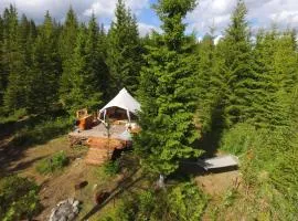 Glamping Tent with amazing view in the forest