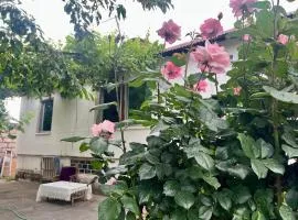 Karen's house