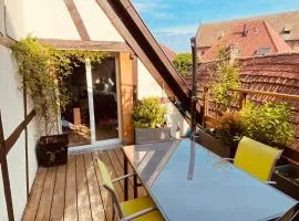 Joli 2 pièces, climatisé avec terrasse, vue sur les toits, en zone piétonne