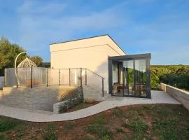 Robinson House Mimo