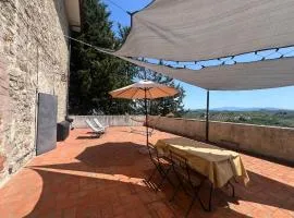 Wine Apartments Florence Lawrence