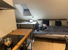 Útulný podkrovní ateliér se zahradou