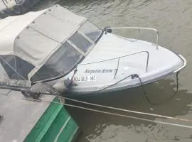 Excursii Delta Dunării Plimbări cu Barca, Tururi Cazare Tradițională