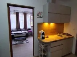 Студио за гости -Синхрон- Трявна