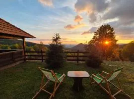 Planinska kuća Tasić, Tara