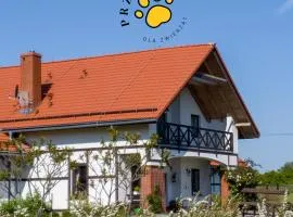 Storczykowe Wzgórze