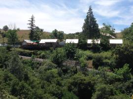 Priest Station Cafe & Cabins, motel ở Groveland